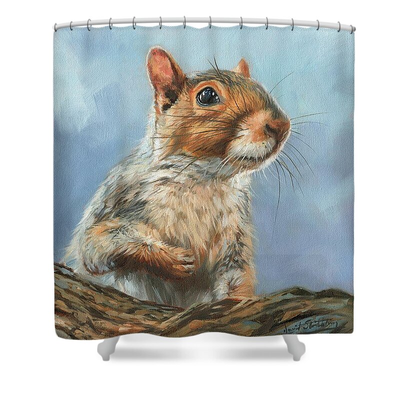 Squirrel Shower Curtain featuring the painting Grey Squirrel by David Stribbling