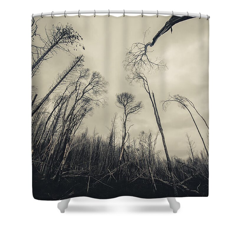 Burnt Shower Curtain featuring the photograph Grey winds bellow by Jorgo Photography
