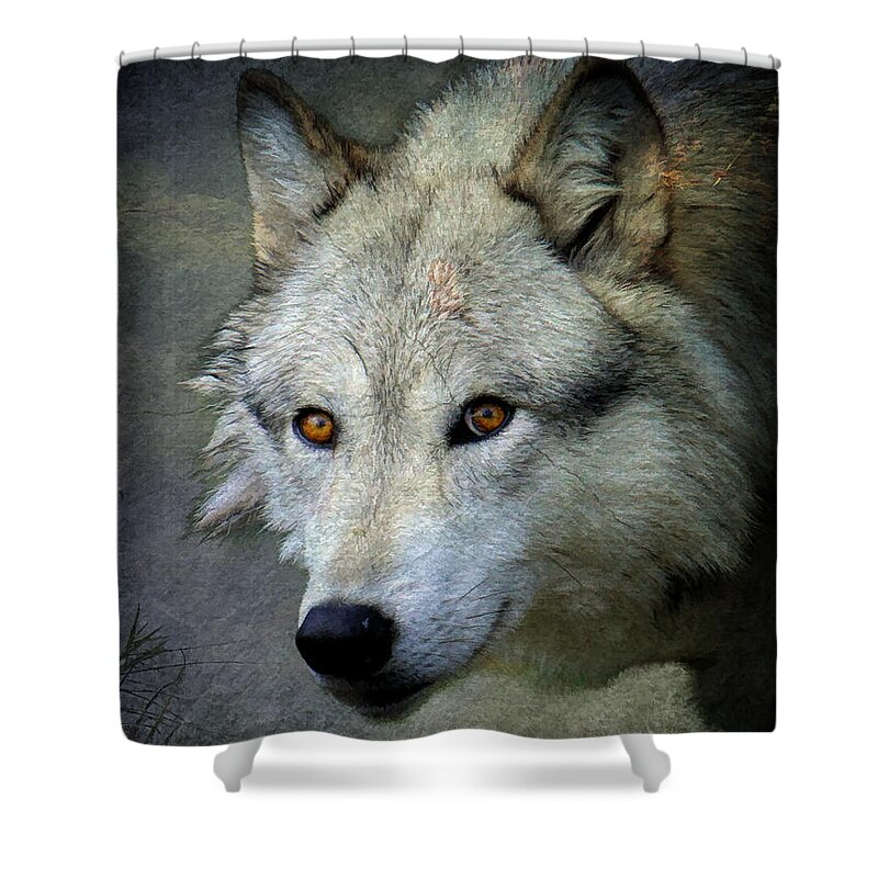 Grey Wolf Shower Curtain featuring the photograph Grey Wolf Portrait by Steve McKinzie