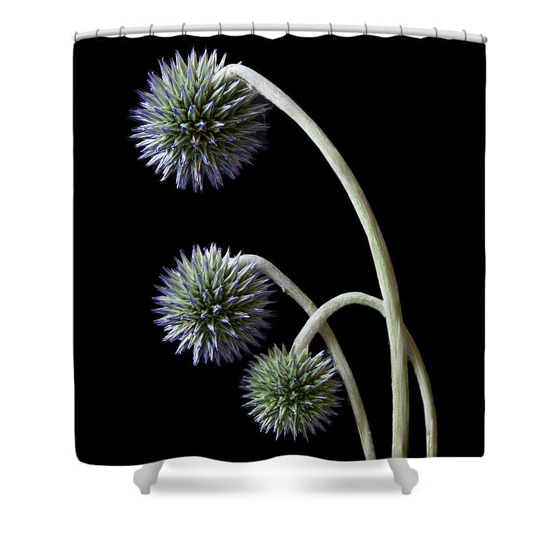 Grief Shower Curtain featuring the photograph Grief by Maggie Terlecki
