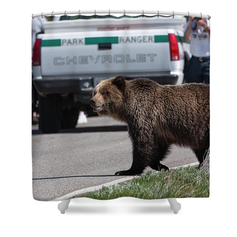 Grizzly Shower Curtain featuring the photograph Grizzly in Yellowstone by Mark Miller