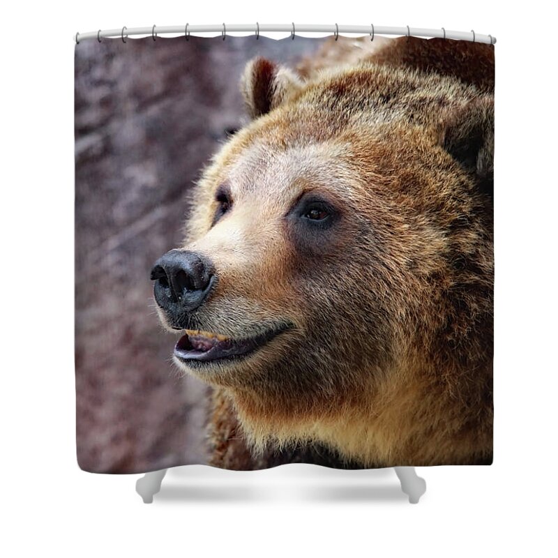 Grizzly Bears Shower Curtain featuring the photograph Grizzly Smile by Elaine Malott