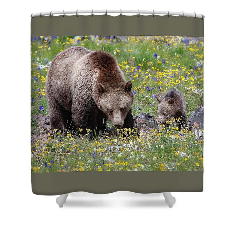 Mark Miller Photos Shower Curtain featuring the photograph Grizzly Sow and Cub in Summer Flowers by Mark Miller