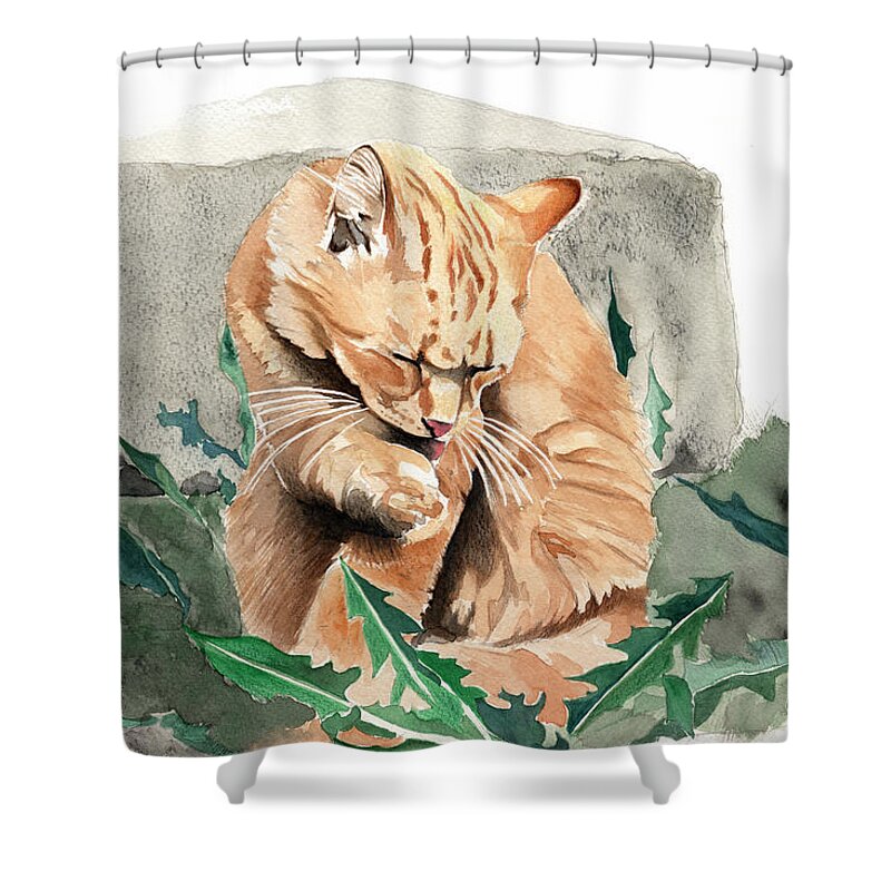Cat Shower Curtain featuring the painting Grooming Time by Louise Howarth