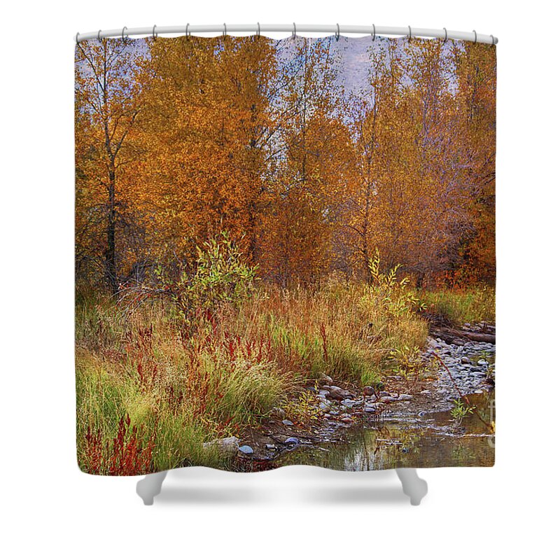 Gros Ventre Shower Curtain featuring the photograph Gros Ventre Area by Lynn Sprowl
