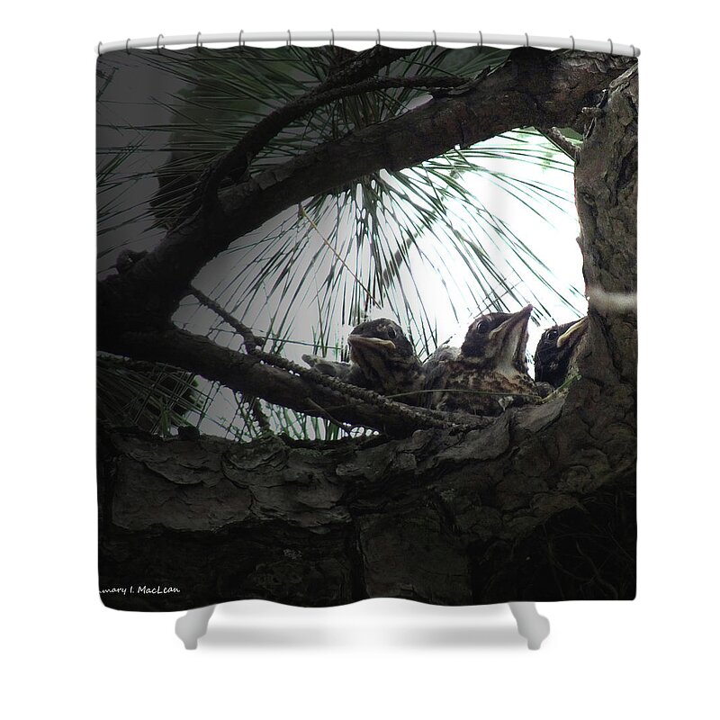 Grumpy Shower Curtain featuring the photograph Grumpy Birds by Kimmary MacLean