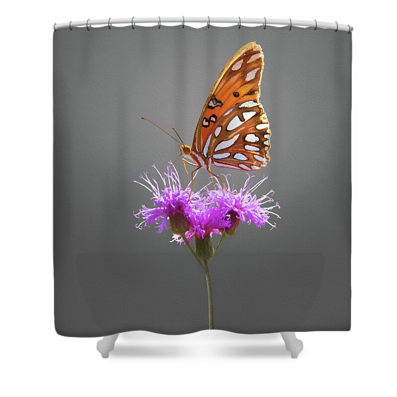 Gulf Fritillary Butterfly Shower Curtain featuring the photograph Gulf Fritillary Butterfly by Steven Michael