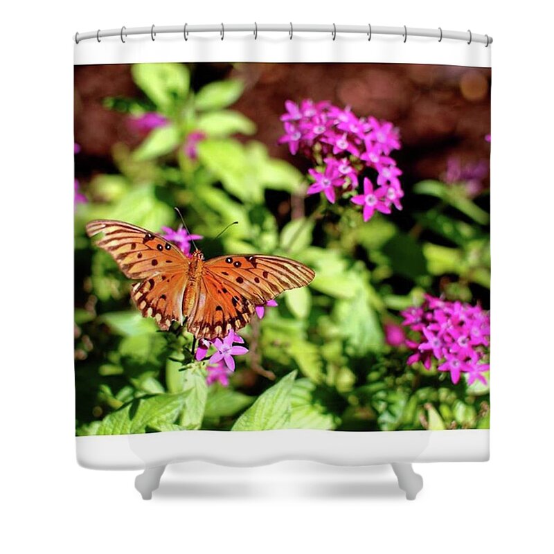 Butterfly Shower Curtain featuring the photograph Gulf Fritillary #1 by Marvin Reinhart