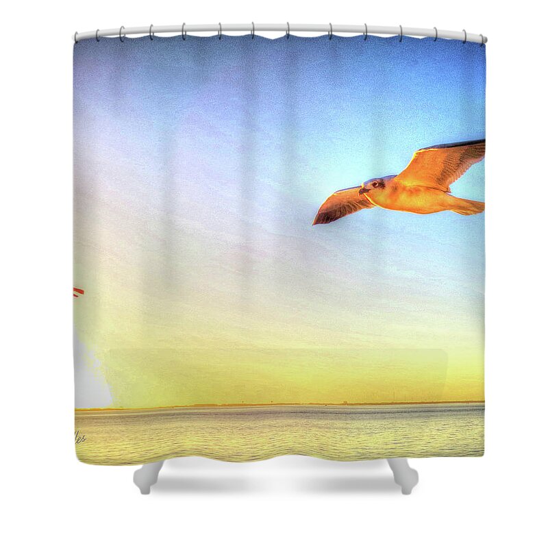 Gull Shower Curtain featuring the digital art Gull In Sky by Kathleen Illes