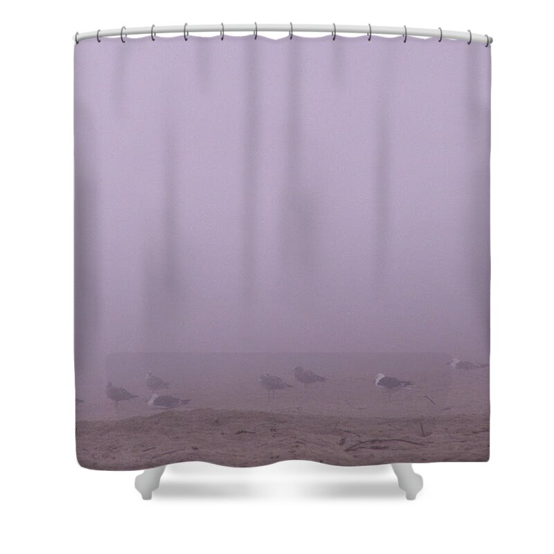 Seagulls Shower Curtain featuring the photograph Gulls in the Fog by Nancy Griswold