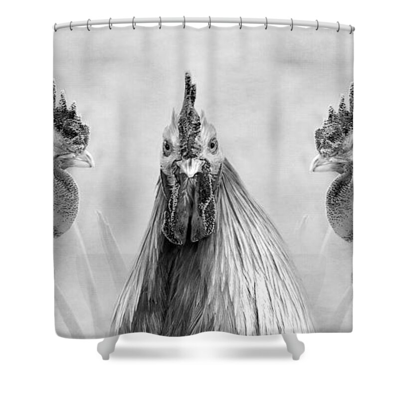 Cockerel Shower Curtain featuring the digital art Gulp In Mono by Linsey Williams