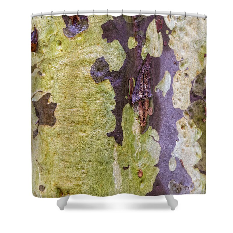Eucalypt Shower Curtain featuring the photograph Gum Tree Detail by Elaine Teague
