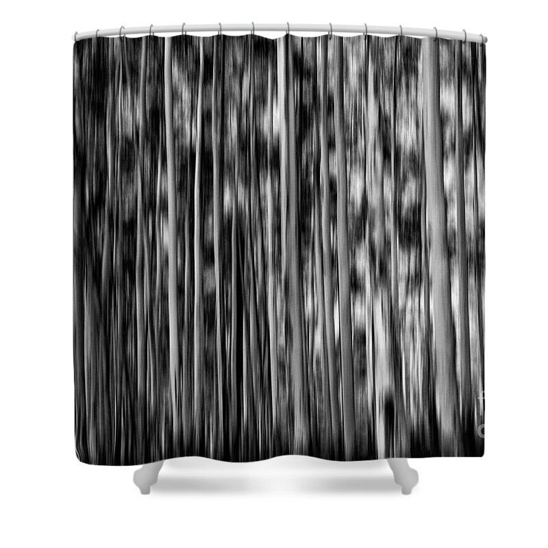 Gum Trees Shower Curtain featuring the photograph Gum trees in mono by Sheila Smart Fine Art Photography