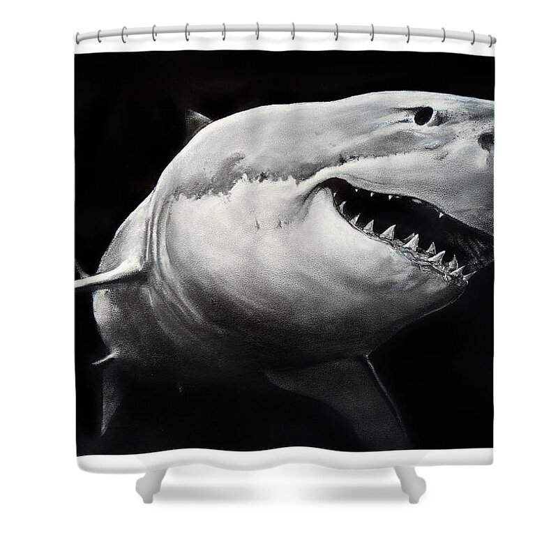 Drawing Shower Curtain featuring the drawing GW Shark by William Underwood