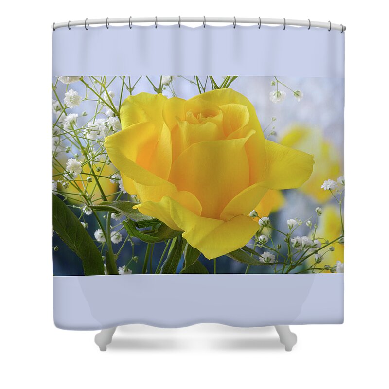 Rose Shower Curtain featuring the photograph Gypsophila And The Rose. by Terence Davis