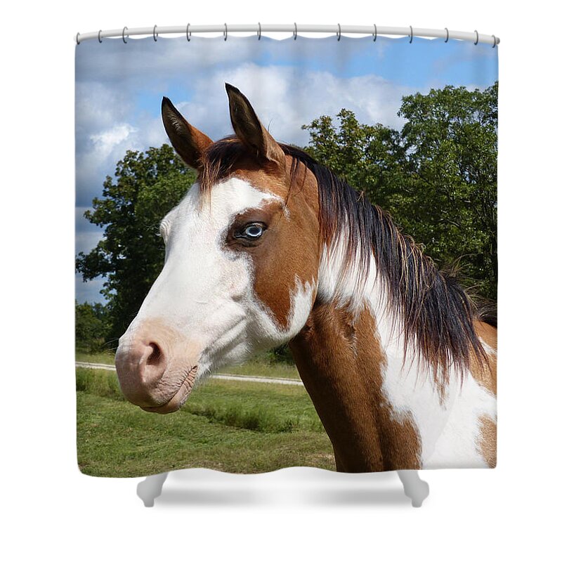 Aqha Shower Curtain featuring the digital art Gypsy Paint by Jana Russon