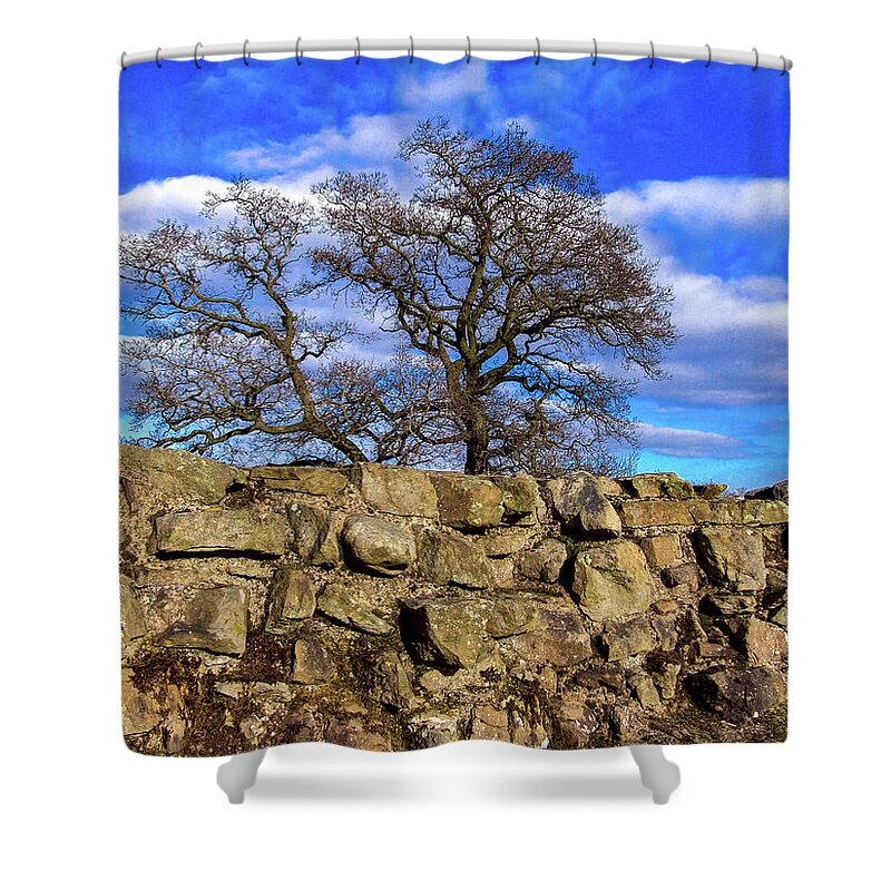 England Shower Curtain featuring the photograph Hadrians Tree by Tim Dussault