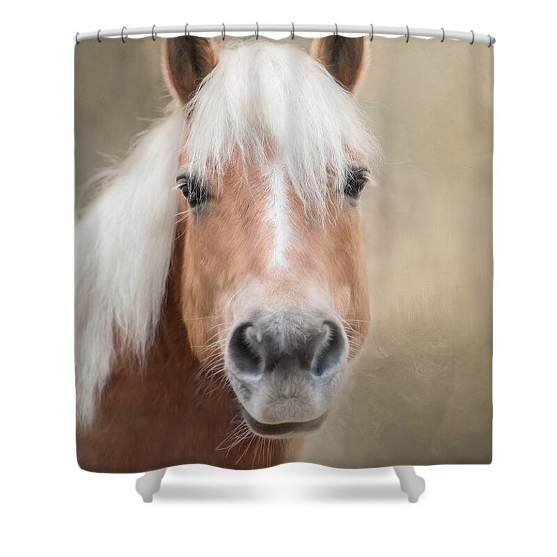 Horse Shower Curtain featuring the photograph Haflinger by Robin-Lee Vieira