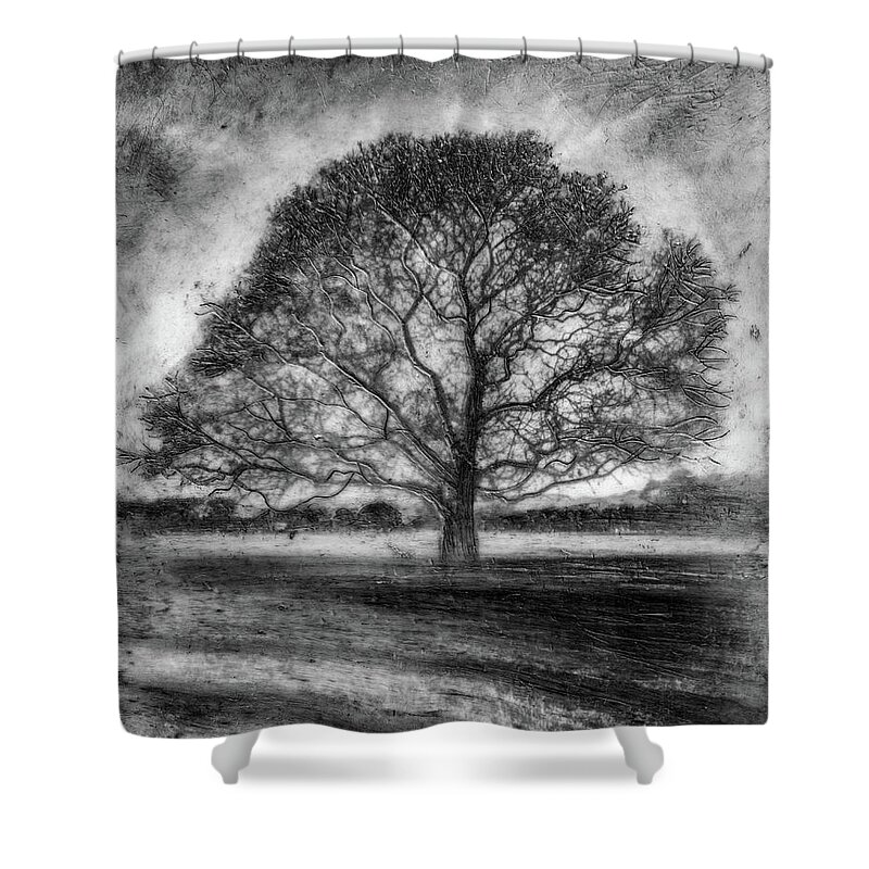 Trees Shower Curtain featuring the mixed media Hagley Tree 2 by Roseanne Jones