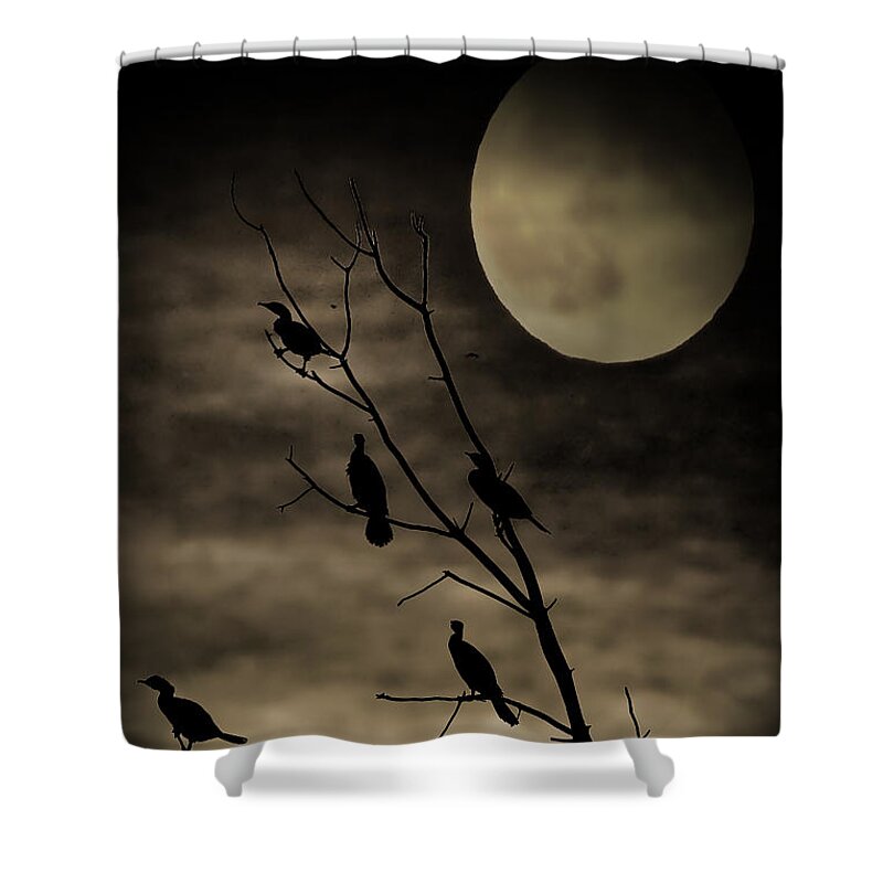 Halloween Shower Curtain featuring the photograph Guardians of the Lake by Elizabeth Winter