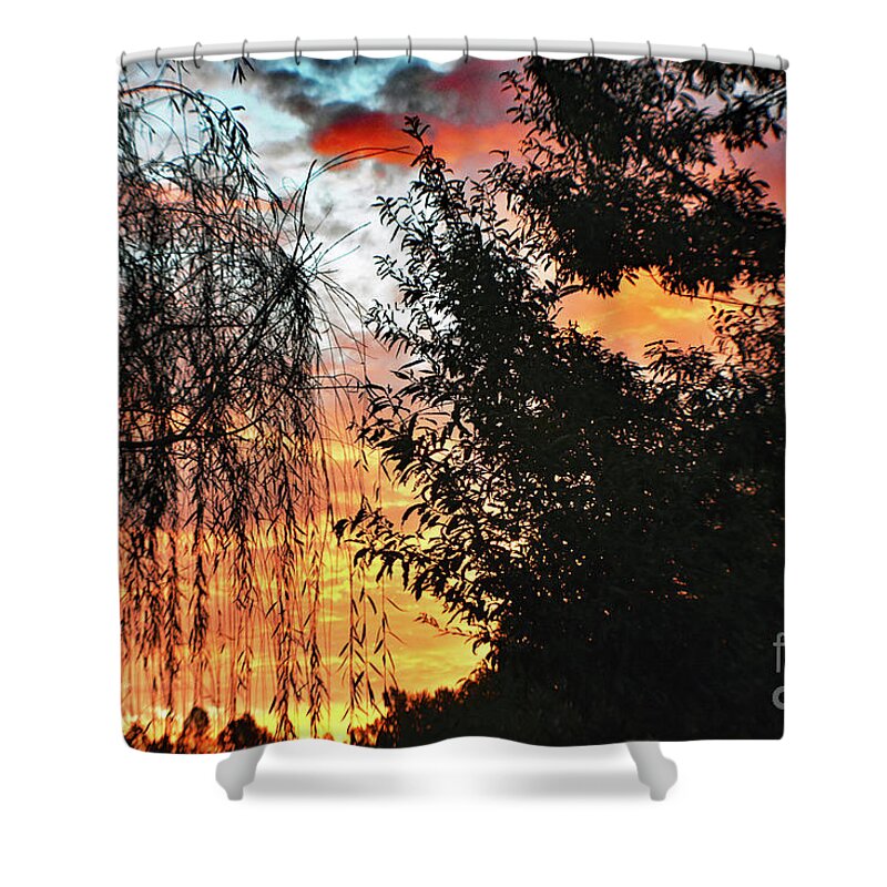 Nature Shower Curtain featuring the photograph Halloween Sunrise 2015 by DB Hayes