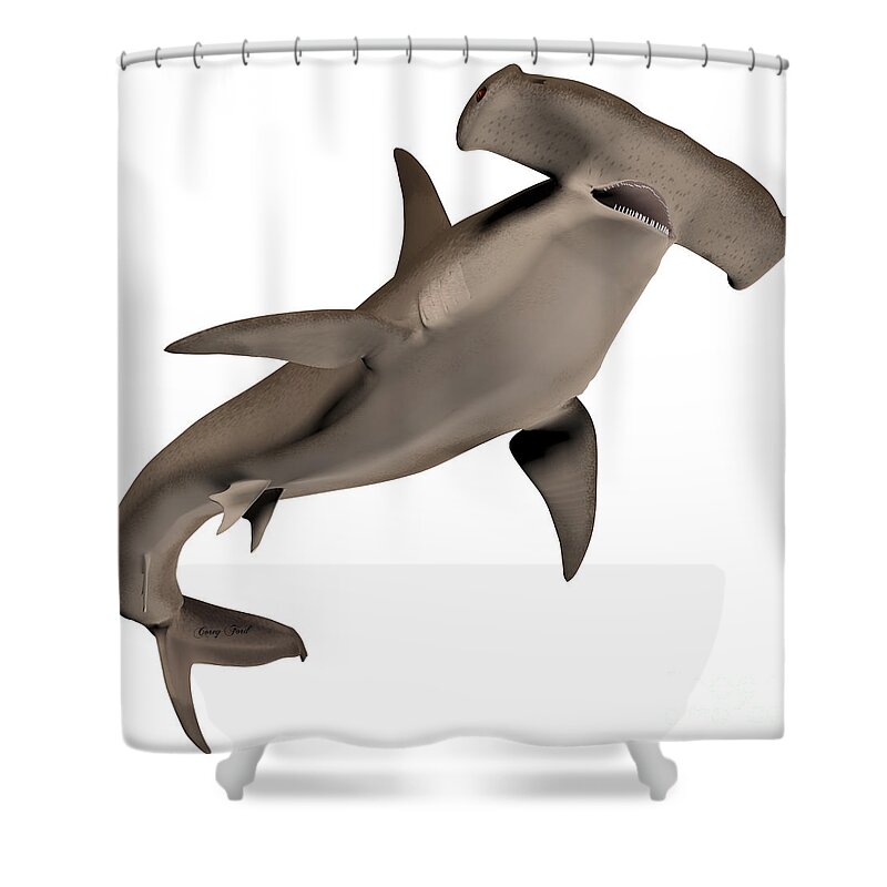 Hammerhead Shark Shower Curtain featuring the painting Hammerhead Shark by Corey Ford