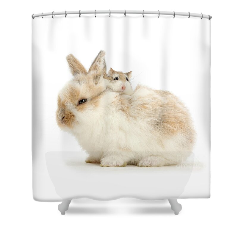 Roborovski Hamster Shower Curtain featuring the photograph Hammy Back Pack by Warren Photographic