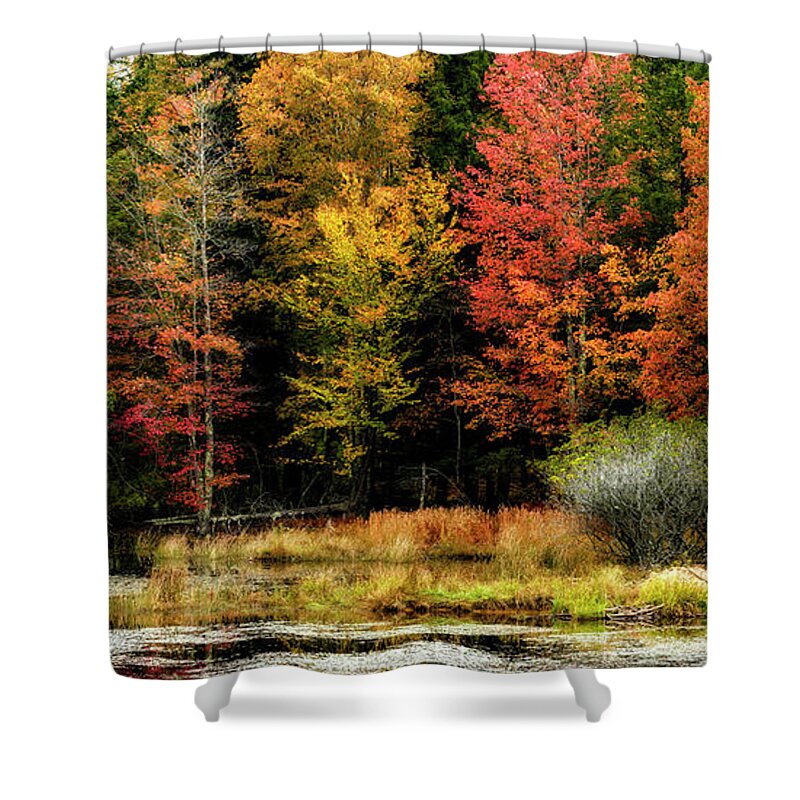 Fall Shower Curtain featuring the photograph Handley Wildlife Managment Area by Thomas R Fletcher