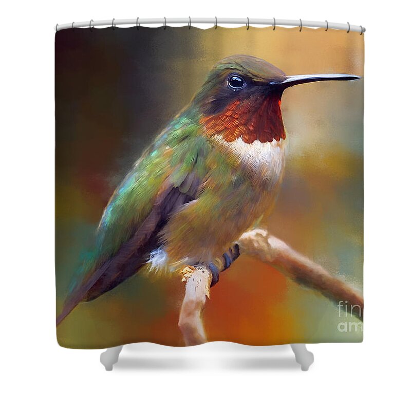 Hummingbird Shower Curtain featuring the painting Handsome Hummingbird by Tina LeCour