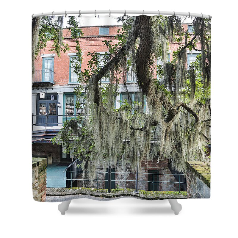 Savannah Shower Curtain featuring the photograph Hangin Loose by Jimmy McDonald