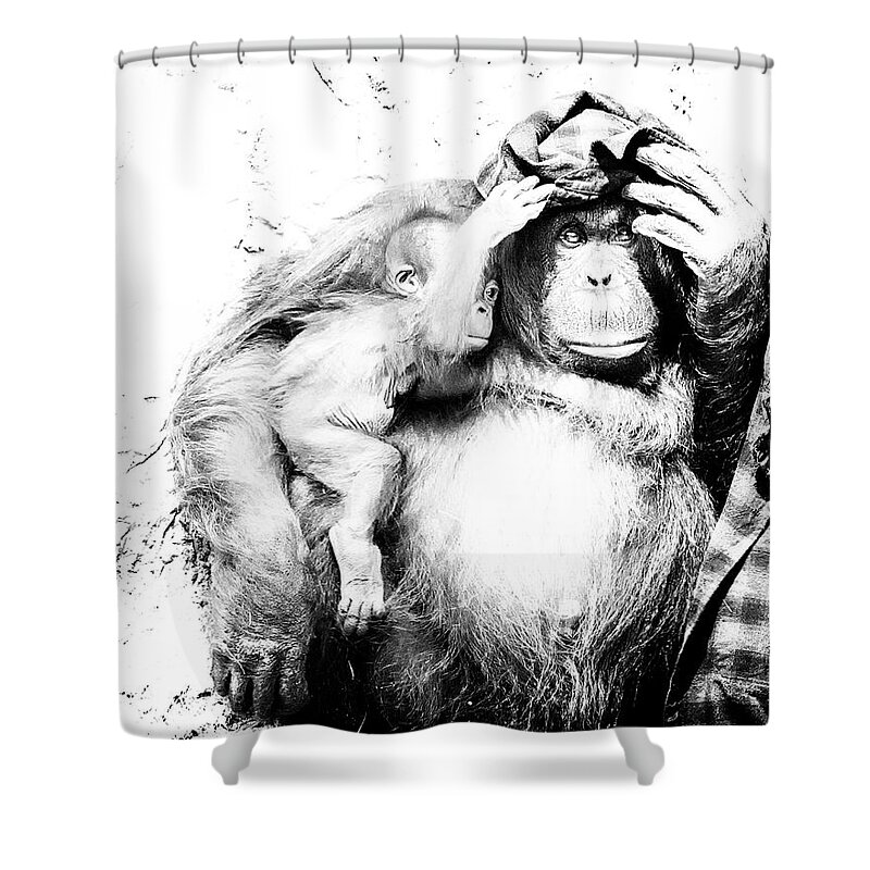 Crystal Yingling Shower Curtain featuring the photograph Hangin Out by Ghostwinds Photography