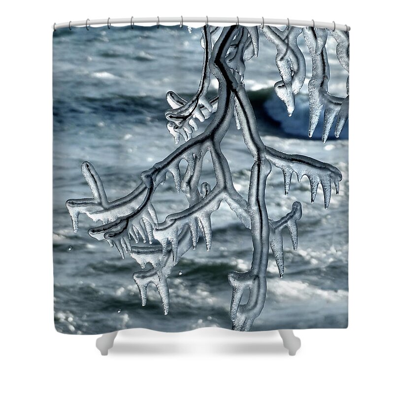 Shoreline Shower Curtain featuring the photograph Hanging Ice Sculpture by David T Wilkinson
