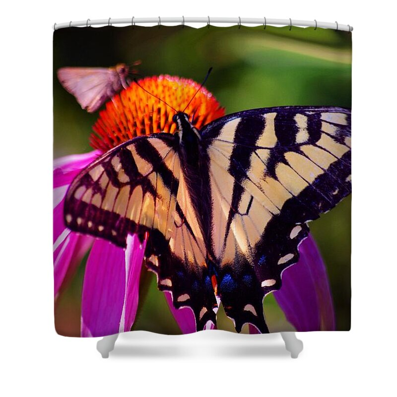 Flowers Shower Curtain featuring the photograph Happiness in Our Own Gardens... by Arthur Miller