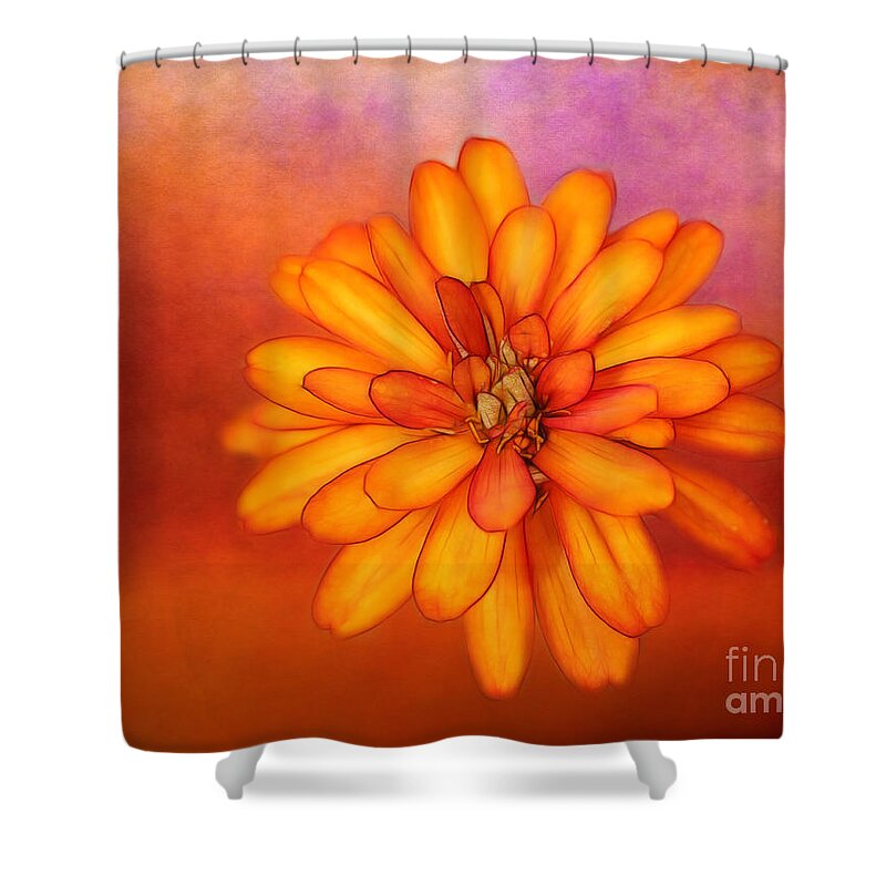 Flower Shower Curtain featuring the photograph Happiness by Judi Bagwell