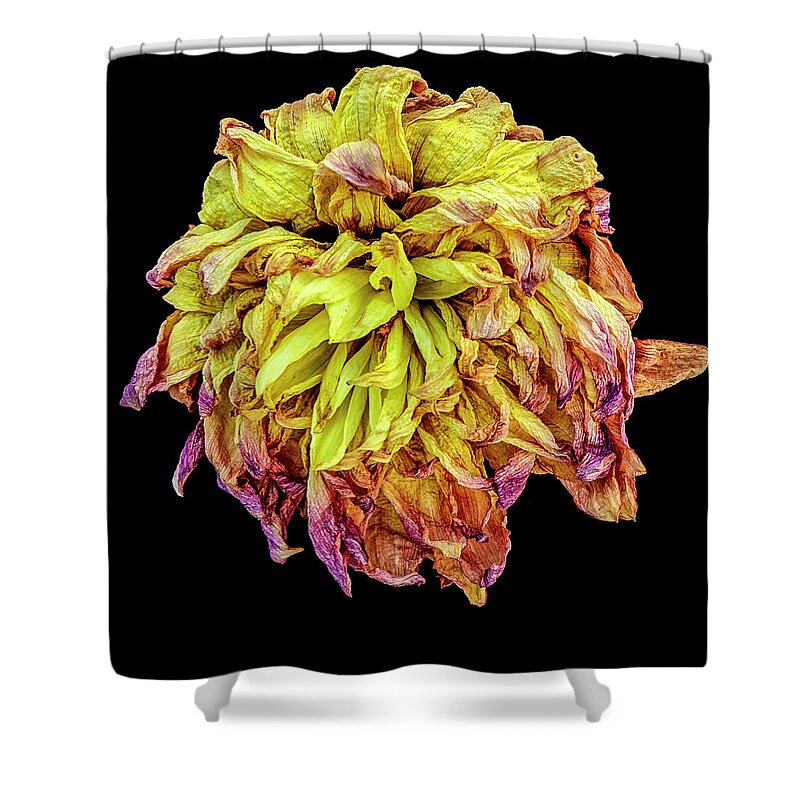 Flower Shower Curtain featuring the photograph Happy After Life 2 by Tony Locke