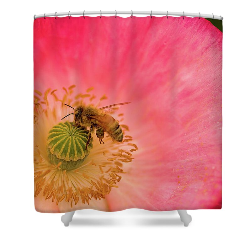 Bee Shower Curtain featuring the photograph Happy Bee by Bob Cournoyer