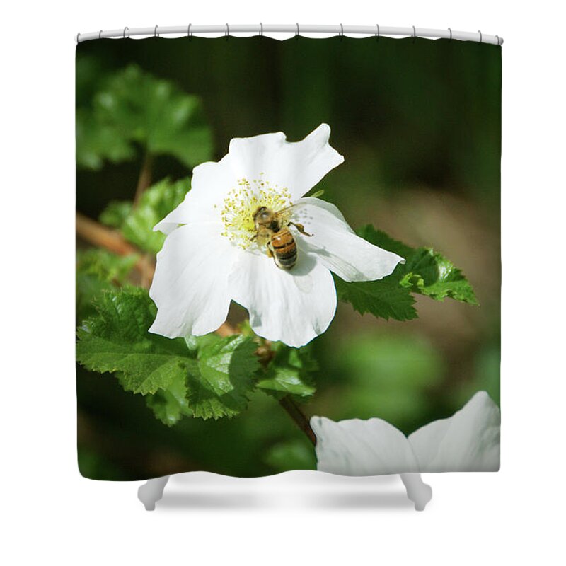 Flower Shower Curtain featuring the photograph Happy Bee by Kristin Davidson