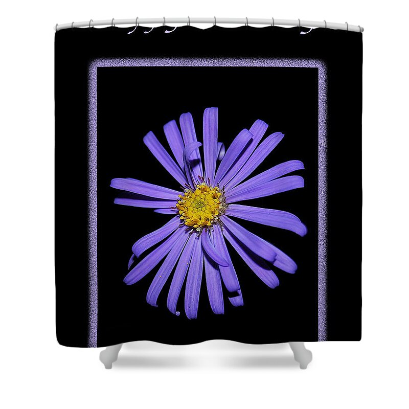 Birthday Shower Curtain featuring the photograph Happy Birthday Purple Aster by Michael Peychich