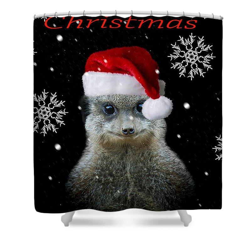 Christmas Shower Curtain featuring the photograph Happy Christmas by Paul Neville