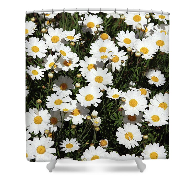 Daisy Shower Curtain featuring the mixed media Happy Daisies- Photography by Linda Woods by Linda Woods