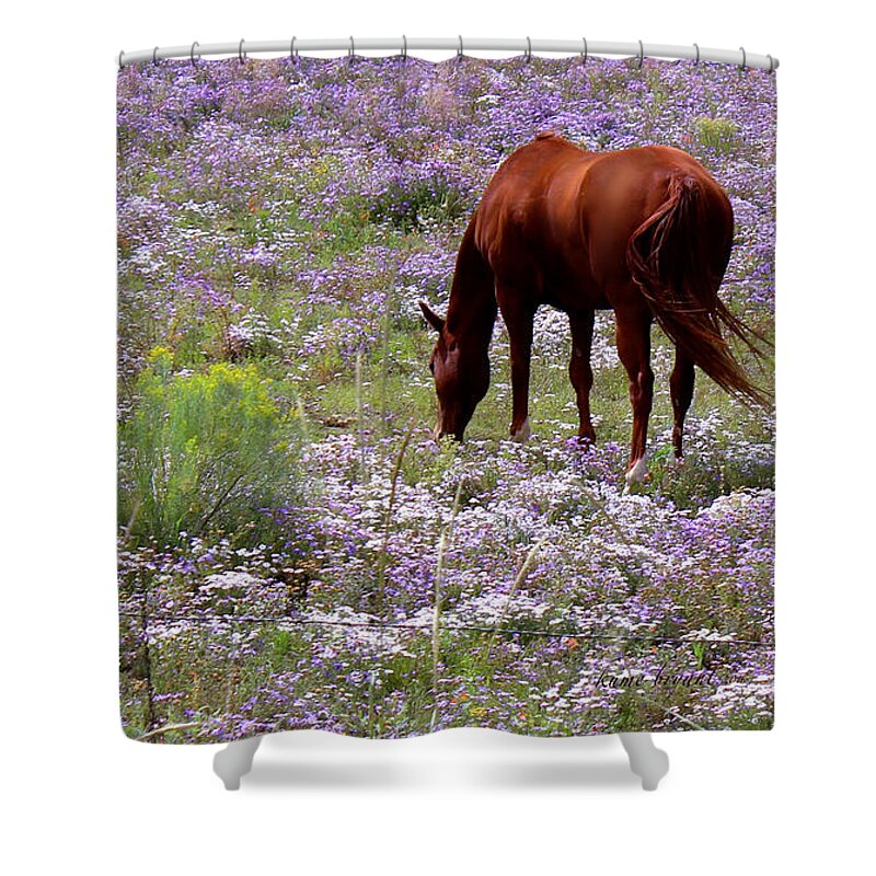 Happy Day Shower Curtain featuring the photograph Happy Day by Kume Bryant