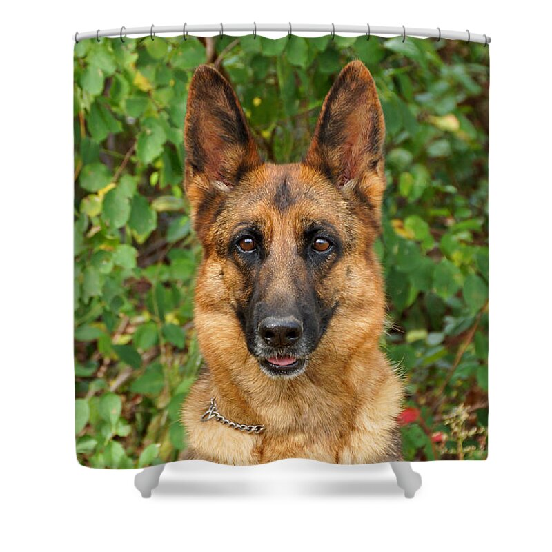 German Shepherd Shower Curtain featuring the photograph Happy Girl by Sandy Keeton