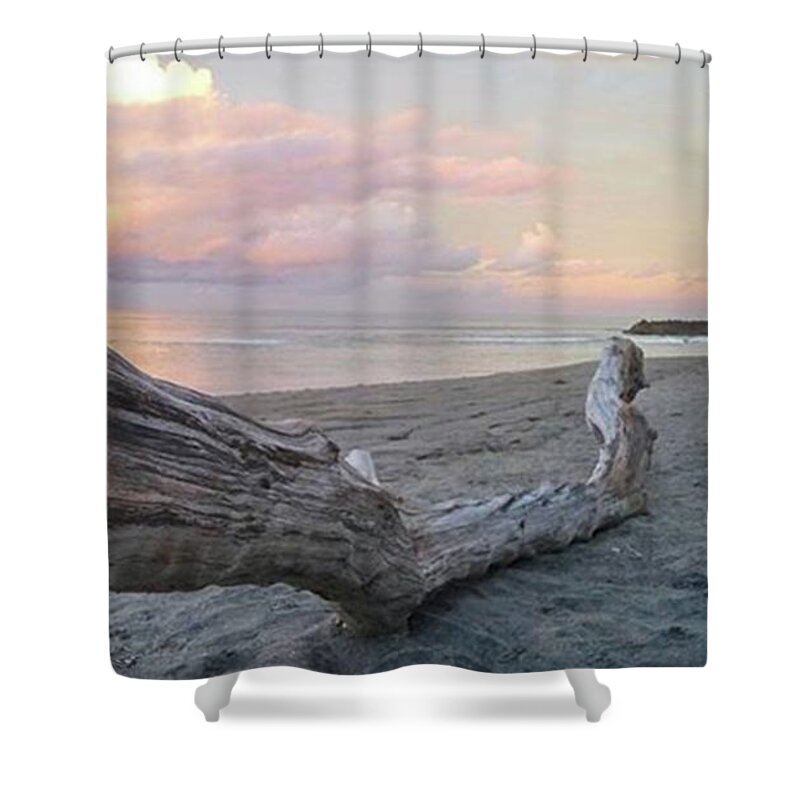 Wood Shower Curtain featuring the photograph Dead Tree 2 by Maria Marganingsih