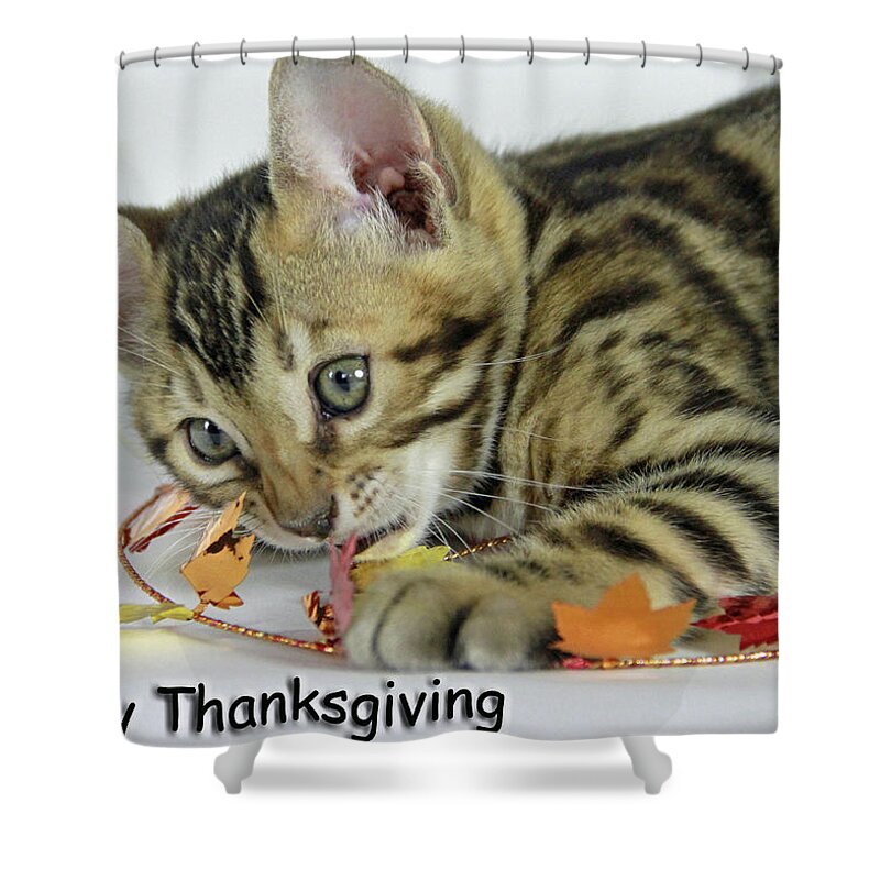 Bengal Shower Curtain featuring the photograph Happy Thanksgiving by Shoal Hollingsworth