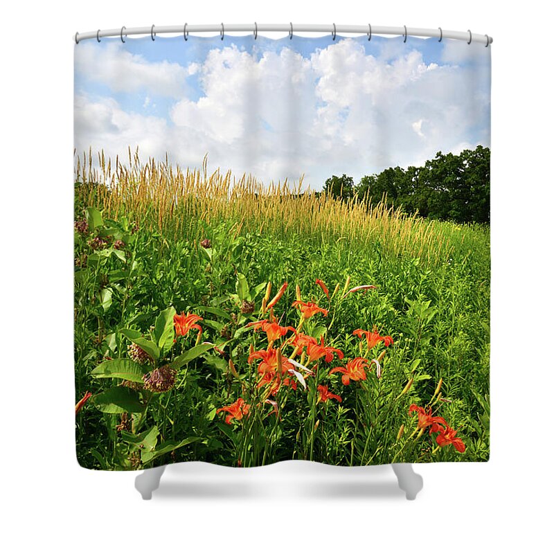 Black Eyed Susan Shower Curtain featuring the photograph Happy Valley by Ray Mathis