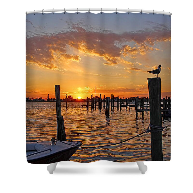 Cortez Florida Shower Curtain featuring the photograph Harbor Patrol by HH Photography of Florida