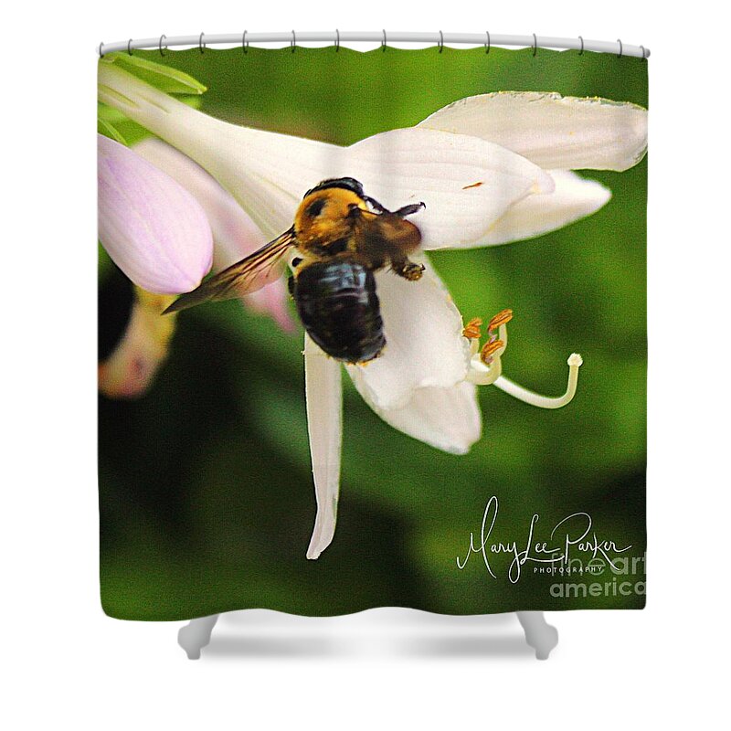 Photograph Shower Curtain featuring the photograph Harmony by MaryLee Parker