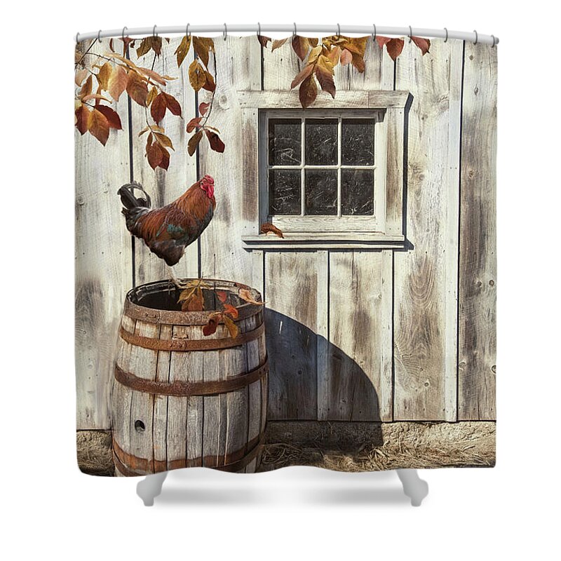 Rooster Shower Curtain featuring the photograph Harmony by Robin-Lee Vieira