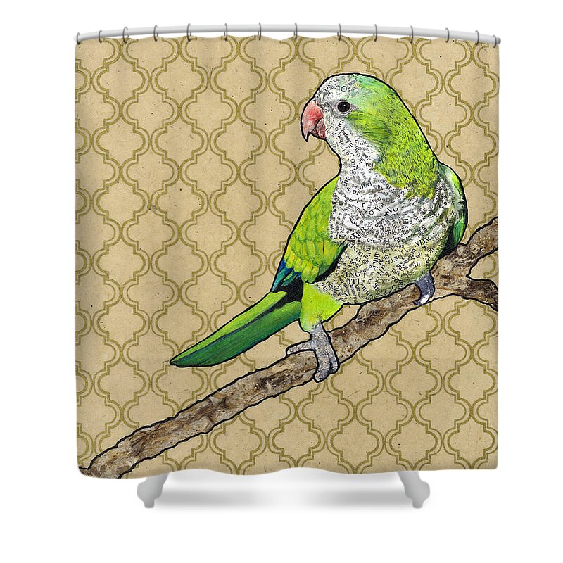 Monk Parakeet Shower Curtain featuring the painting Harold by Jacqueline Bevan
