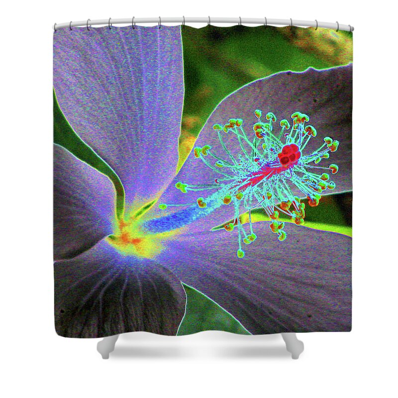 Hibiscus Shower Curtain featuring the photograph Hawaiian Dreams - PhotoPower 3409 by Pamela Critchlow